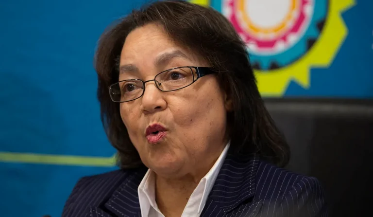 Patricia de Lille Biography, Age, Political Career, and More