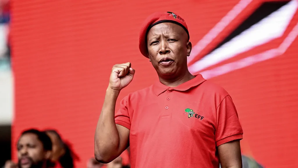 Julius Malema photo