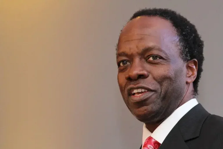 Sizwe Nxasana Biography: The Visionary CEO Who Transformed FirstRand Group